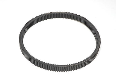 Drive Belt